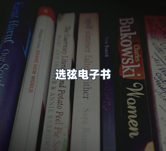 关于选弦电子书
